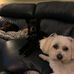 Cheryl Teel - Facebook