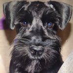 Cheryl Teel - @cherl.47 - Instagram