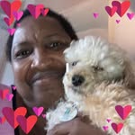 Cheryl Temple - @templetop2 - Instagram