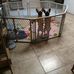 Cheryl Templin - Facebook