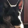 @ctrapper27 - @cheryltrapper - TikTok