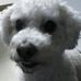 Cheryl Teschner - Facebook