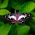Cheryl Teter - Facebook