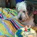 Cheryl Teter - Facebook