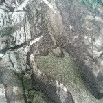 Cheryl Thacker - @the_real_g_1957 - Instagram
