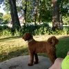 Cheryl Thelen - @cheryl.thelen - TikTok