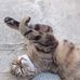 Cheryl Thomson - Facebook