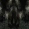 cherylon thorp - @cherylon.thorp - TikTok