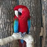 Cheryl Thrasher - @cthrasherlc - Instagram