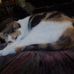 Cheryl Thrasher - Facebook