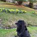 Sheryl Thrasher - Facebook