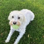 Cheryl Tibbetts - @tibbsc1 - Instagram