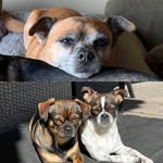 Cheryl Ash Tilley - @cheryl.ash3 - Instagram