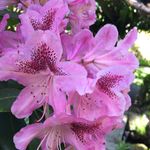 •Tilley• - @cheryl.tilley27 - Instagram