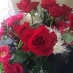 Cheryl Tracey Ellis - @cheryltraceyellis - Instagram
