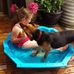 Cheryl Travers - Facebook