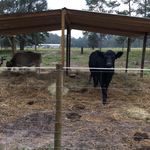 Cheryl travers - @highspringspeace5 - Instagram