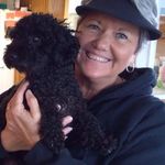 Cheryl Traverso Warren - @cheryltraversowarren - Instagram