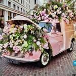 Cheryl Trimboli - @trimbolicheryl - Instagram