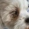 cheryltrimble746 - @cheryltrimble746 - TikTok