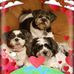 Cheryl Trojanowski - Facebook
