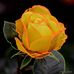Sheryl Trojanowski - Facebook
