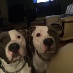 Cheryl Truman Tedford - @cheryltrumantedford - Instagram