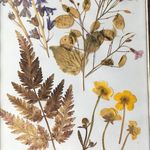 Cheryl Urwin - @la_petite_presse_a_fleurs - Instagram