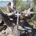 Cheryl Vandenberg - Facebook