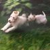 Sherry Vandenberg - Facebook