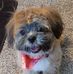 Cheryl Van Meter - Facebook