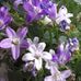 Cheryl Varner - Facebook
