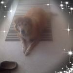 Cheryl Varner - @cheryl.varner.16 - Instagram