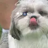 cherylvigil8 - @cherylvigil8 - TikTok
