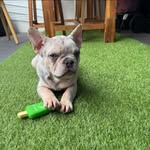 Cheryl Tan - @cherylvioletta - Instagram