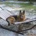 Cheryl Vogt - Facebook