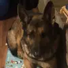 Cheryl Walker - @cheryl.walker51 - TikTok