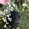 Cheryl Walker - @cheryl.walker07 - TikTok