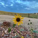 Cheryl Marie Watters - @mrscherylwatters - Instagram