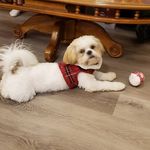 Cheryl Weatherford - @lanie2011att.net_ - Instagram