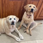 Cheryl Weis - @_mama_weis_ - Instagram