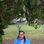 Cheryl Welsh - @cherylwelsh856 - Instagram