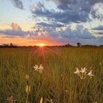 Cheryl Ann Whatley Buckpitt - @whatleybuckpitt - Instagram