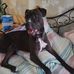Sheryl Whittington - Facebook