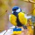 Cheryl Jeanne Wicks - Facebook