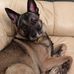 Cheryl Wicks - Facebook