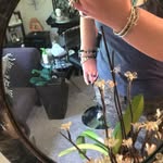 Cheryl Wind - @lightsonlola - Instagram
