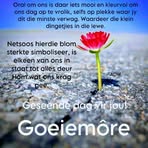 Cheryl Windvoel Nay-nay - Facebook