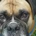 Cheryl Wing - Facebook