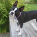 Cheryl Wink - Facebook